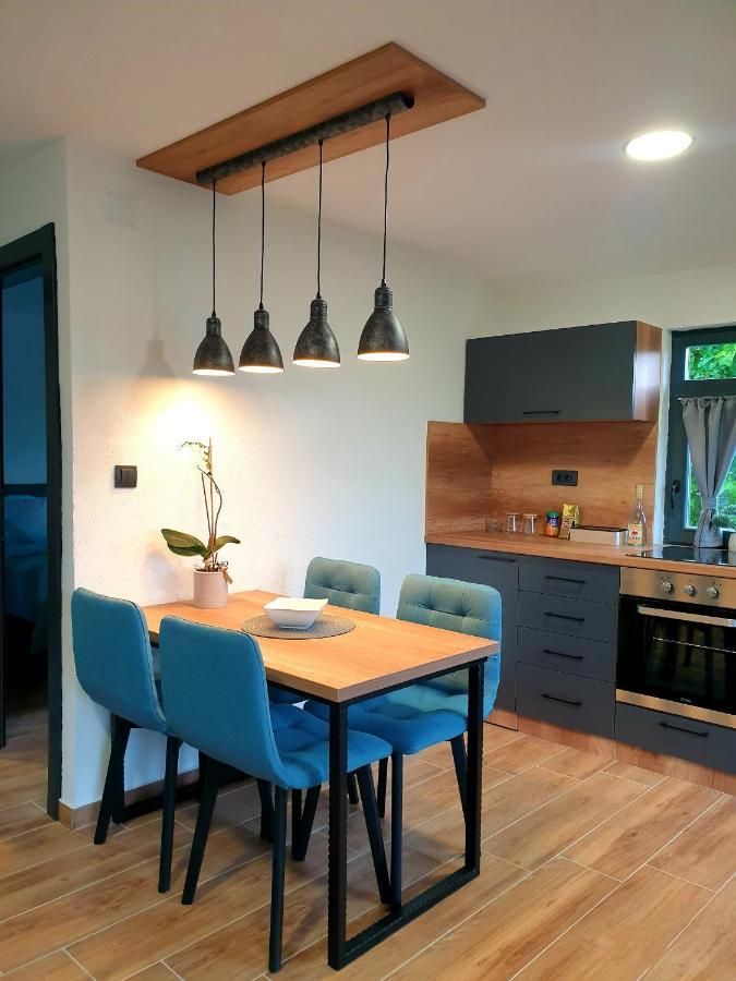 Apartmani Visegradski Pogled 外观 照片