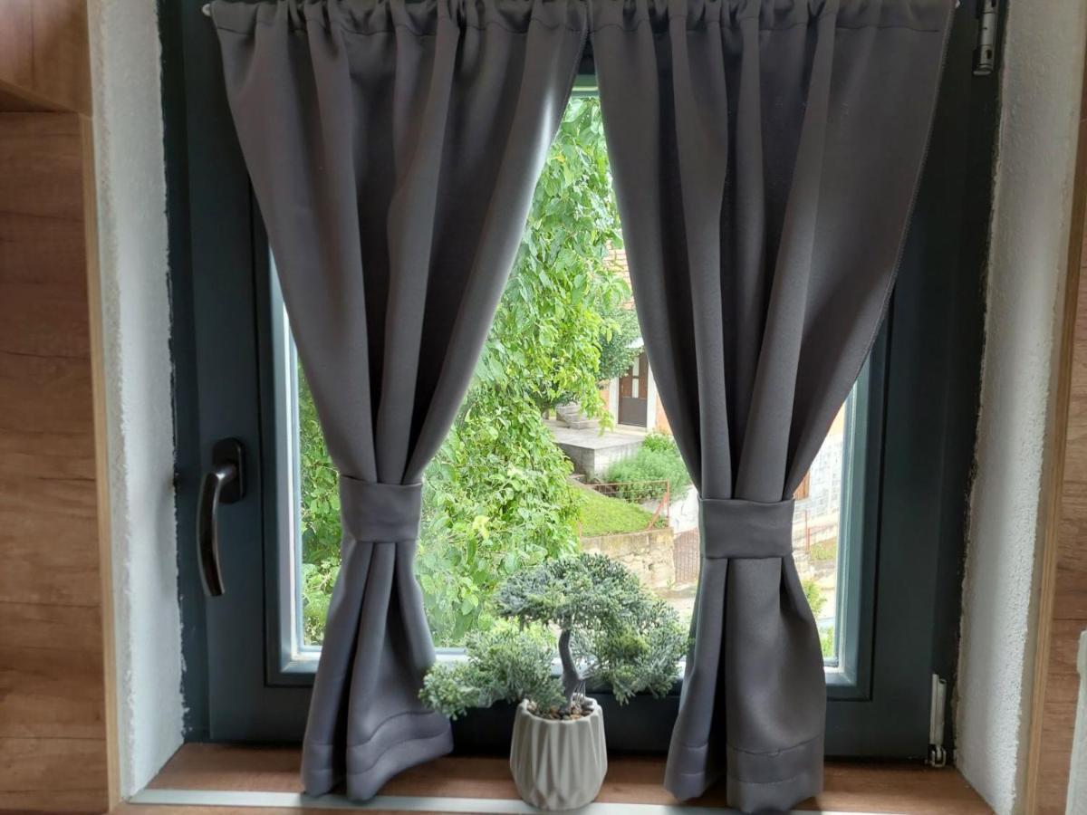 Apartmani Visegradski Pogled 外观 照片