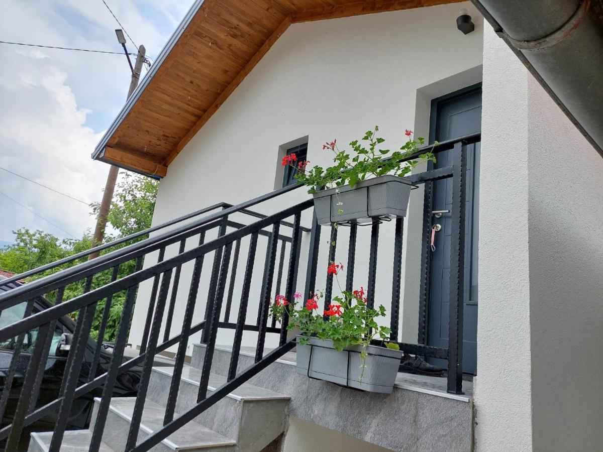 Apartmani Visegradski Pogled 外观 照片